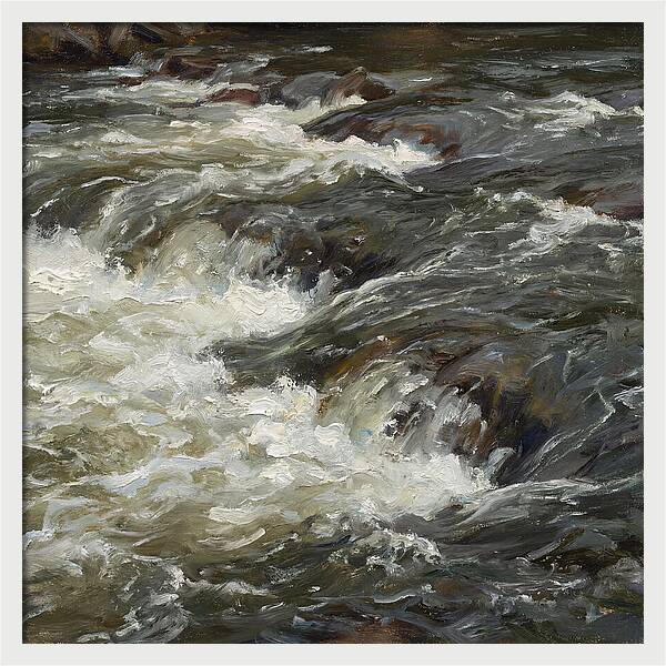 Raging White Water Rapids