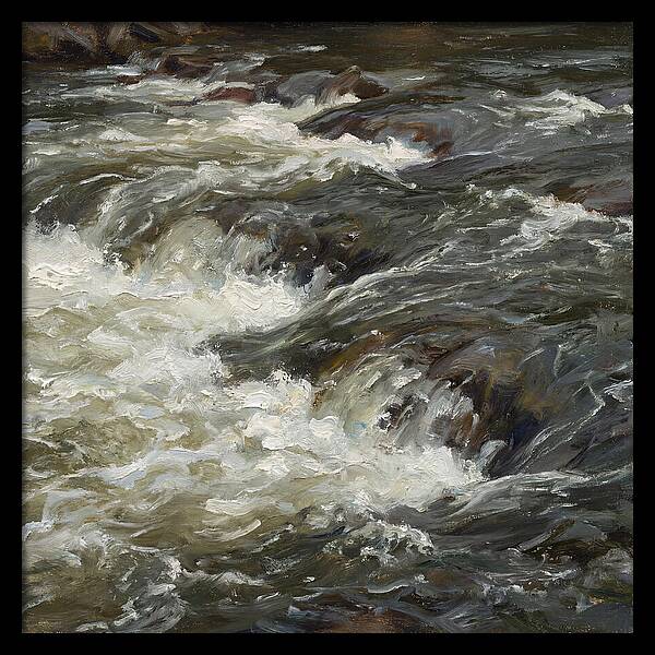 Raging White Water Rapids