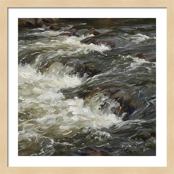 Raging White Water Rapids