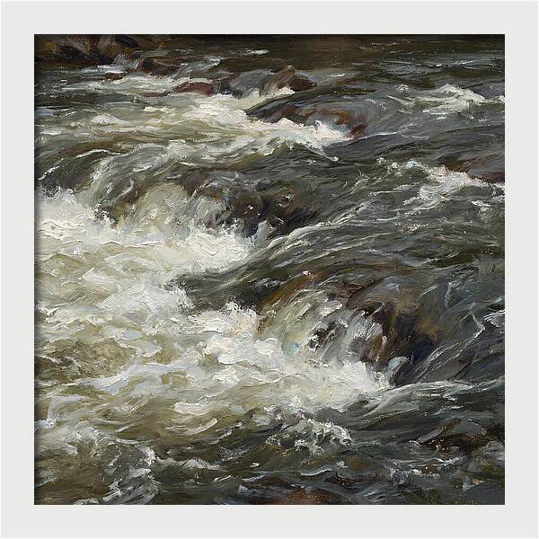 Raging White Water Rapids