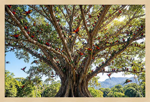 Rainbow Lorikeets In Vibrant Harmony