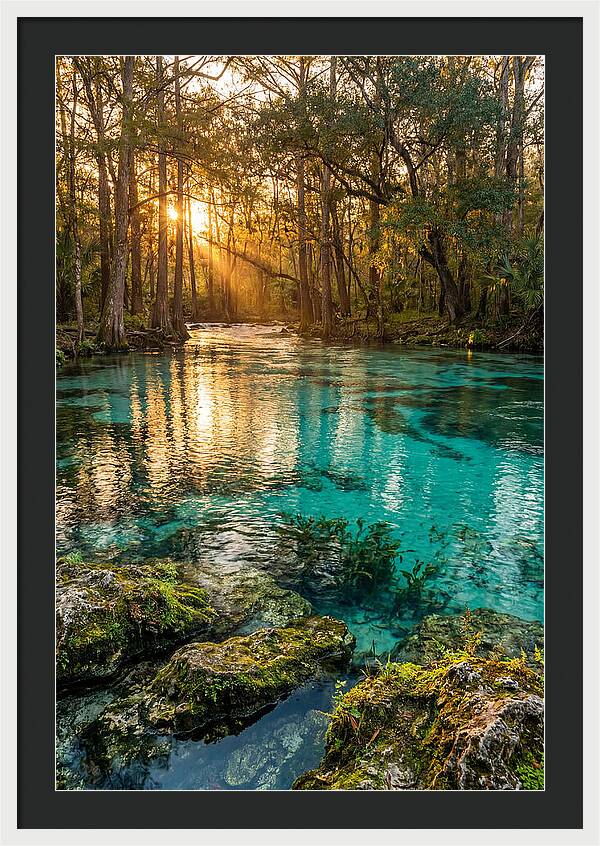 Rainbow Springs Serenity