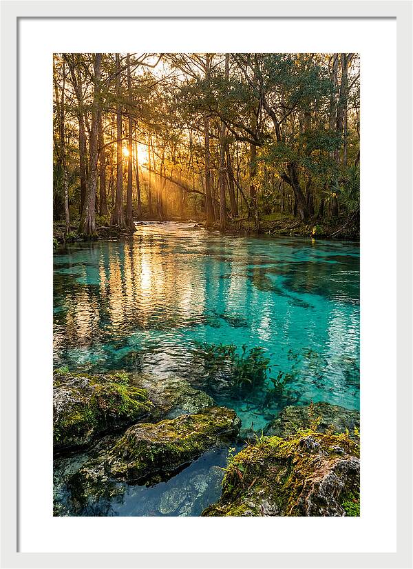 Rainbow Springs Serenity