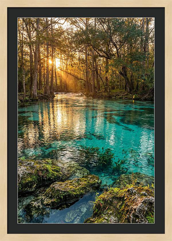 Rainbow Springs Serenity