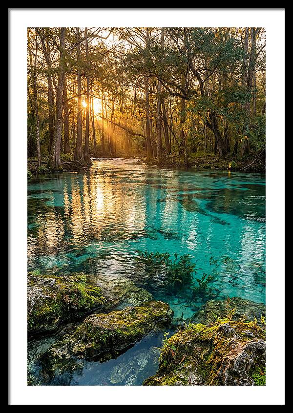 Rainbow Springs Serenity