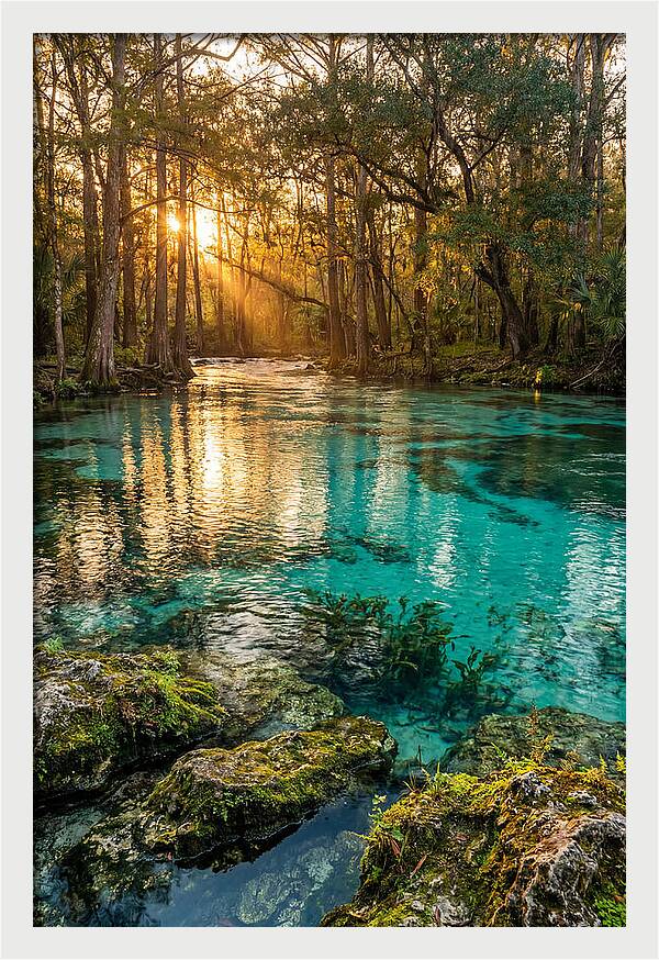 Rainbow Springs Serenity