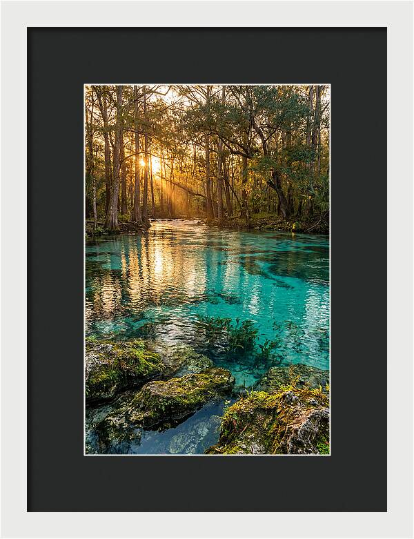 Rainbow Springs Serenity