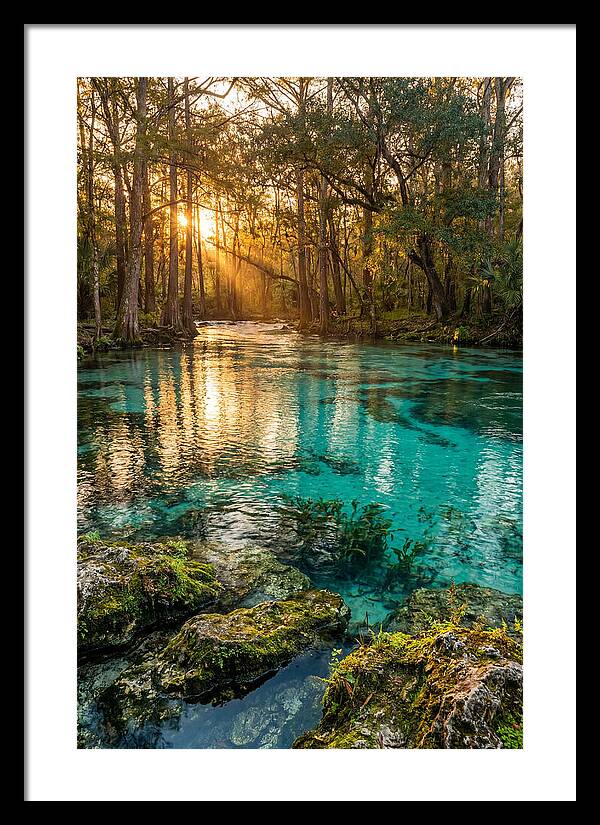 Rainbow Springs Serenity