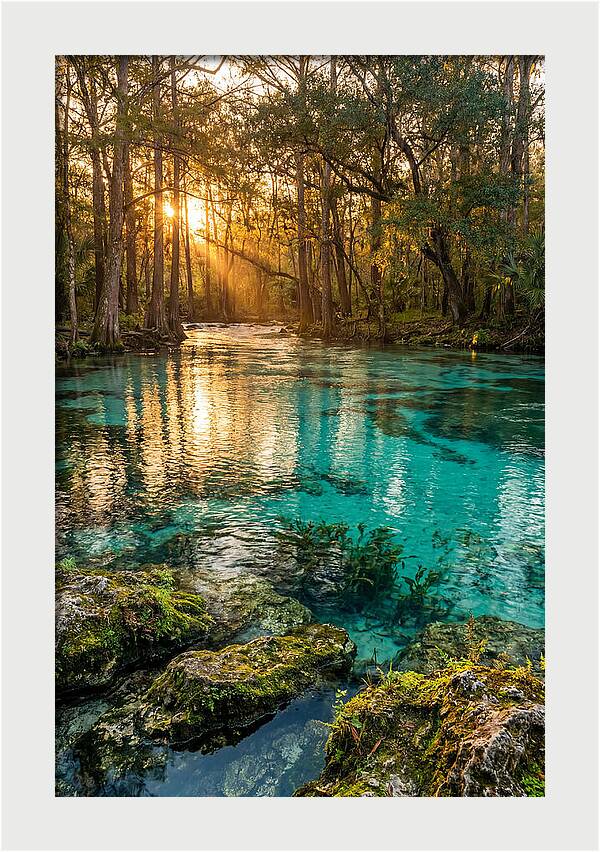Rainbow Springs Serenity