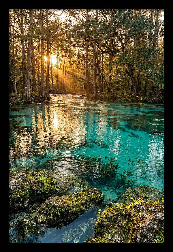 Rainbow Springs Serenity