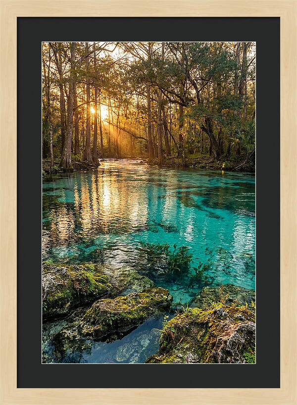 Rainbow Springs Serenity