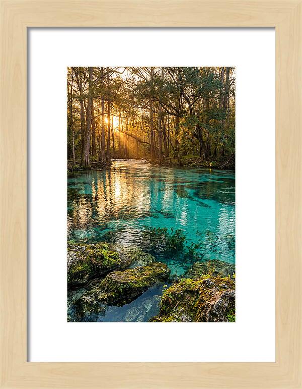 Rainbow Springs Serenity