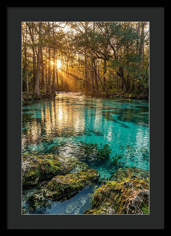 Rainbow Springs Serenity