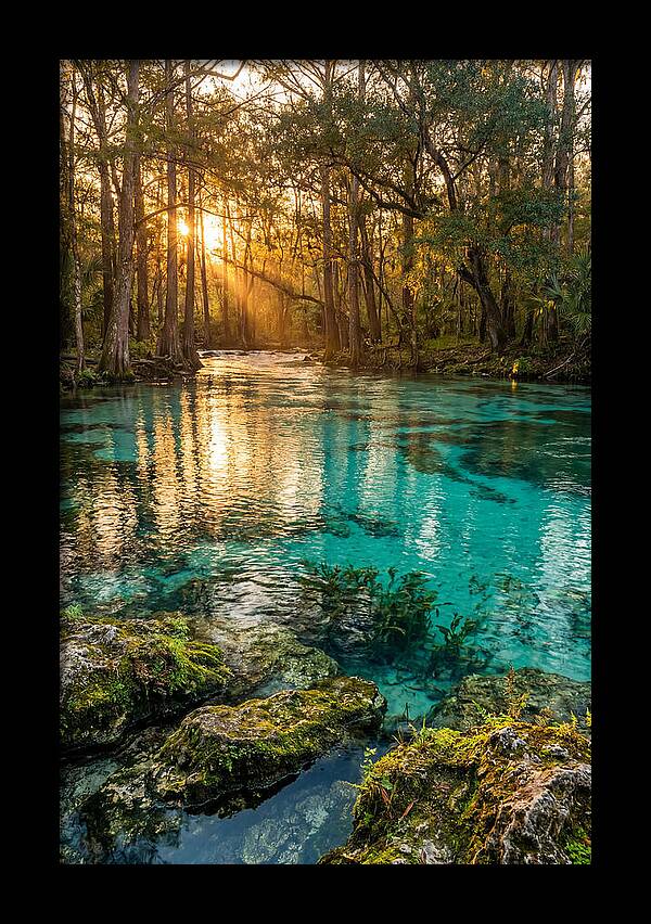Rainbow Springs Serenity