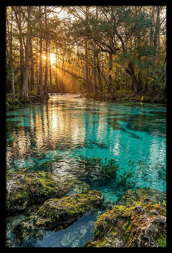 Rainbow Springs Serenity