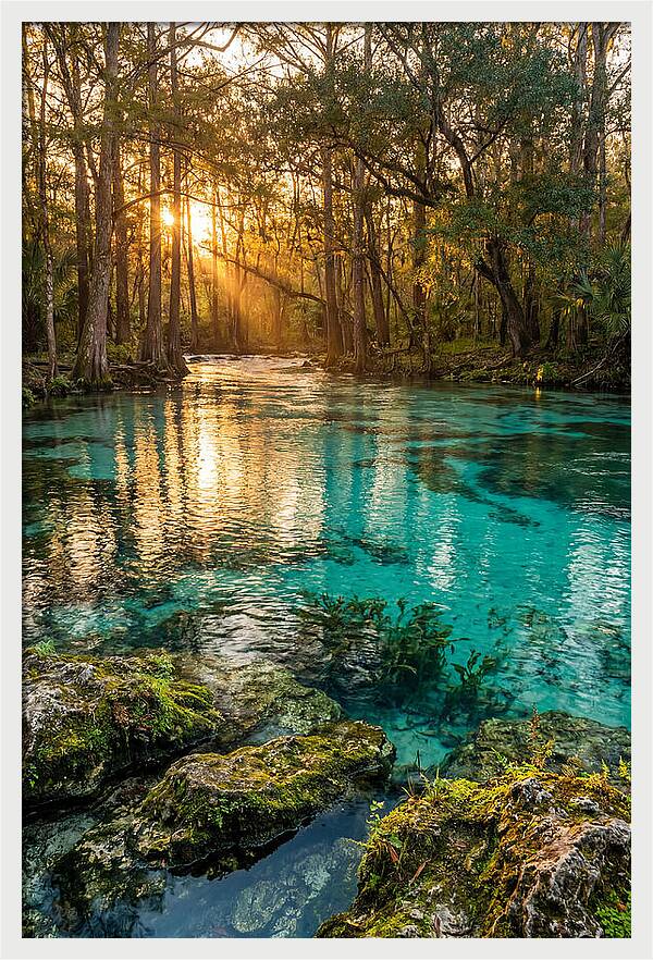 Rainbow Springs Serenity