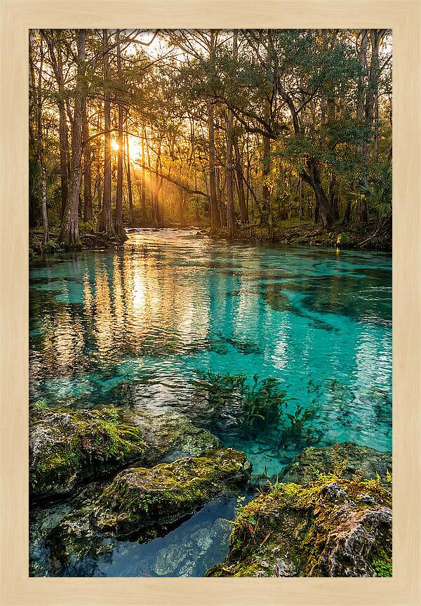 Rainbow Springs Serenity