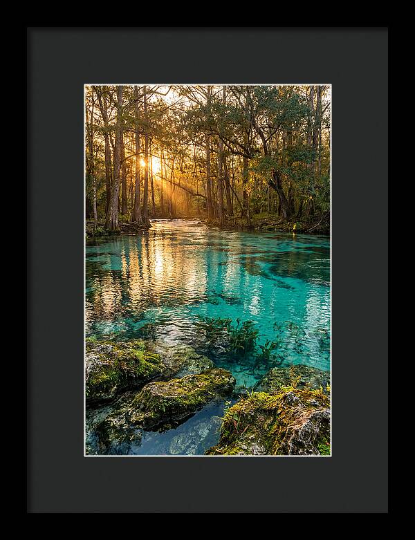 Rainbow Springs Serenity