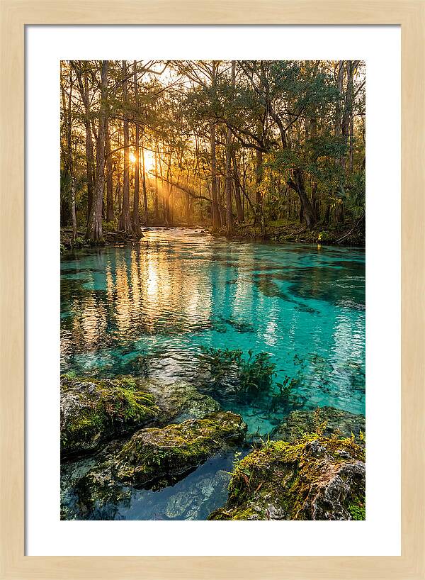 Rainbow Springs Serenity