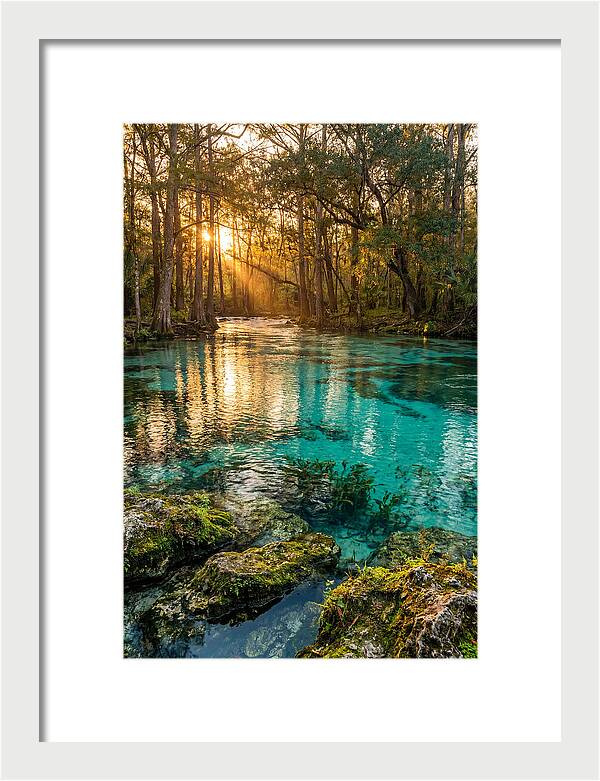 Rainbow Springs Serenity