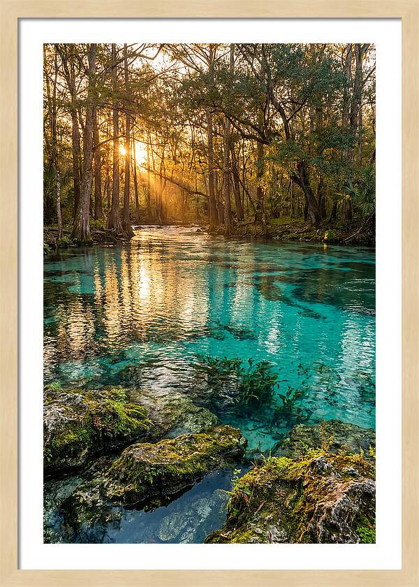 Rainbow Springs Serenity