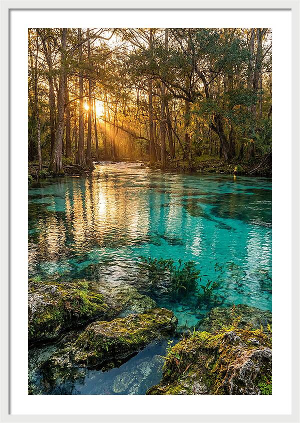 Rainbow Springs Serenity