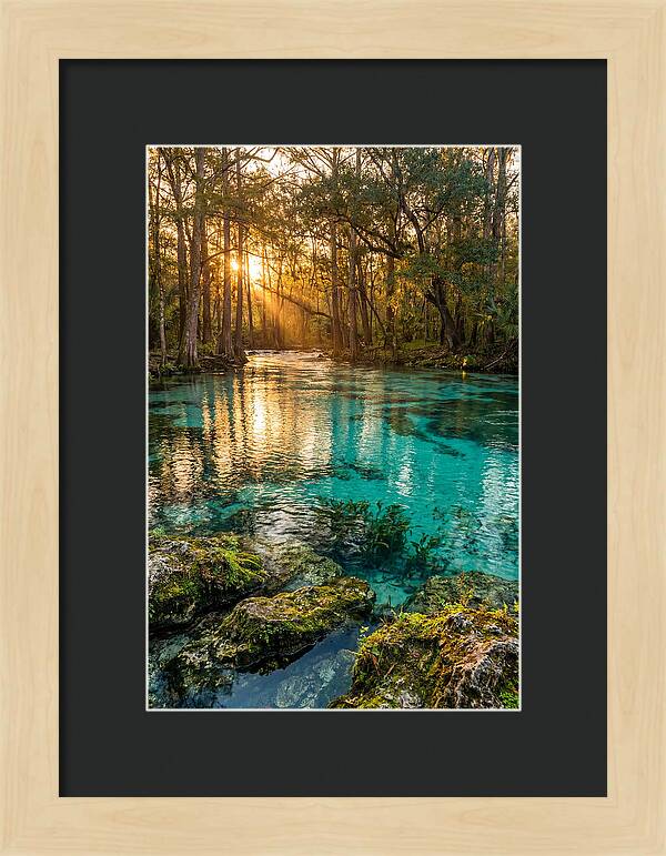 Rainbow Springs Serenity