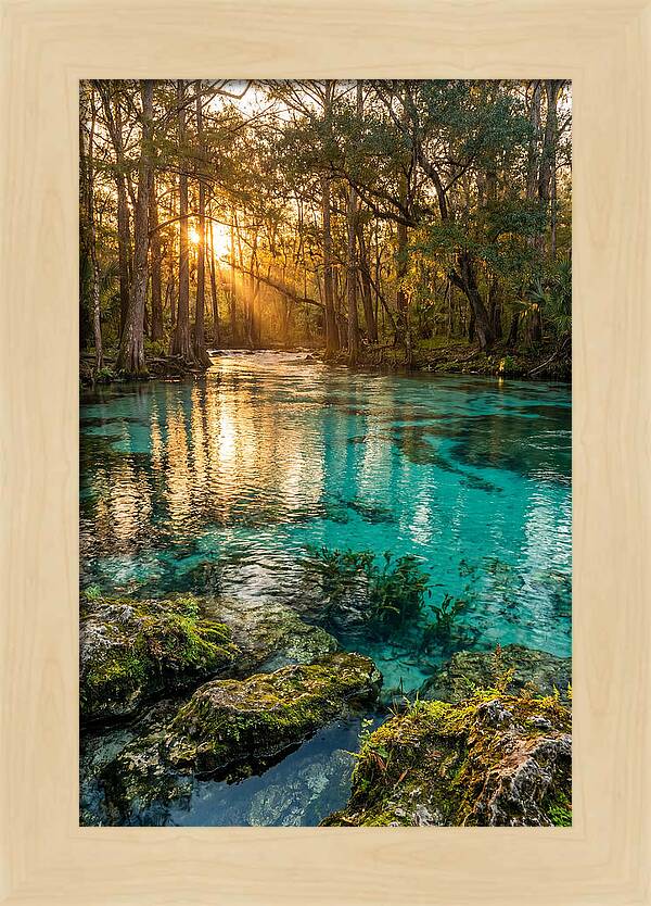 Rainbow Springs Serenity