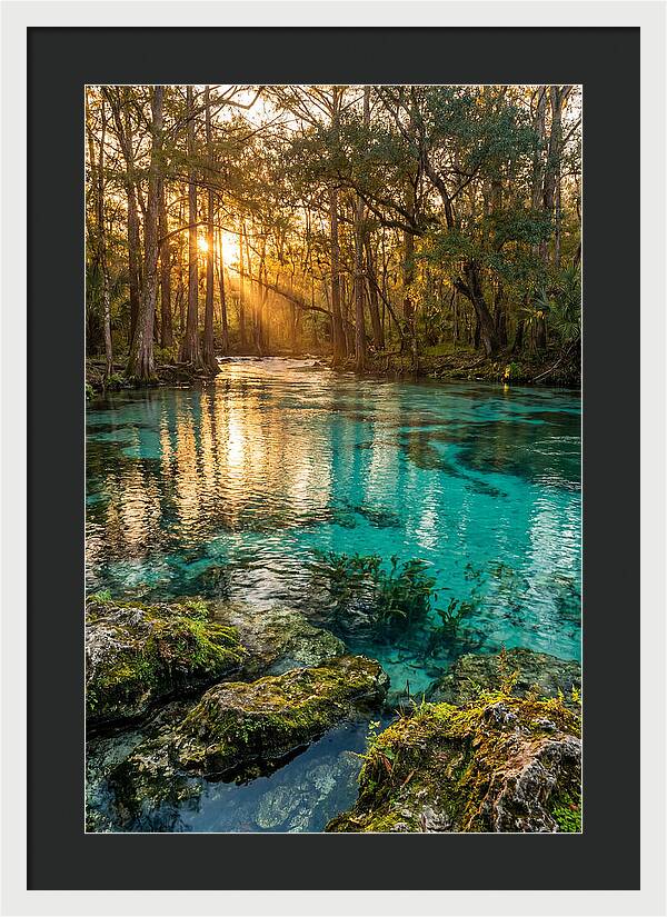 Rainbow Springs Serenity