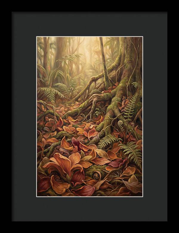 Rainforest Floor Serenity