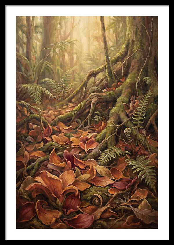 Rainforest Floor Serenity