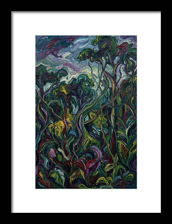 Rainforest Reverie