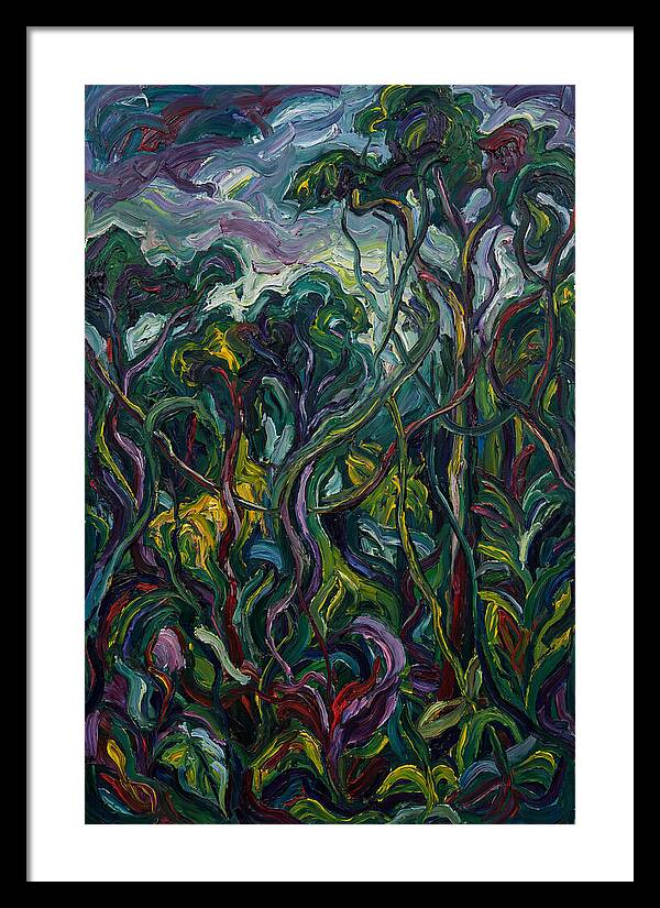 Rainforest Reverie