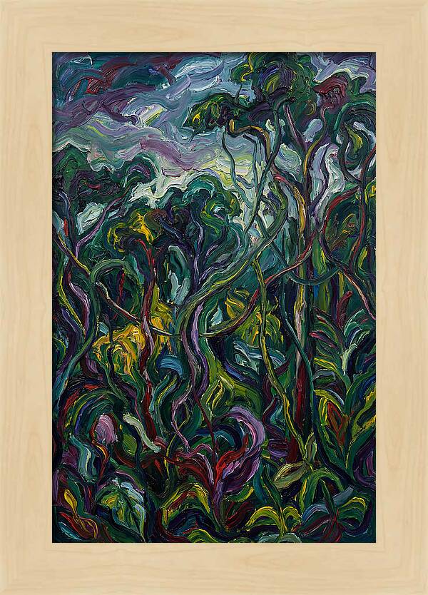 Rainforest Reverie