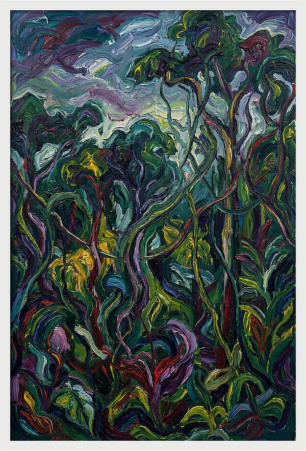 Rainforest Reverie