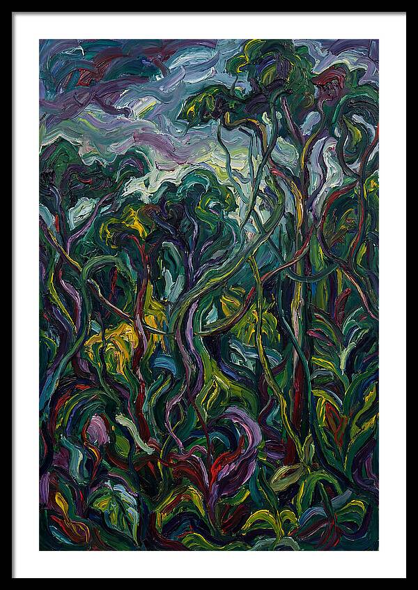 Rainforest Reverie