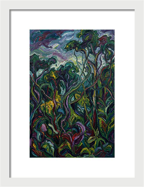 Rainforest Reverie