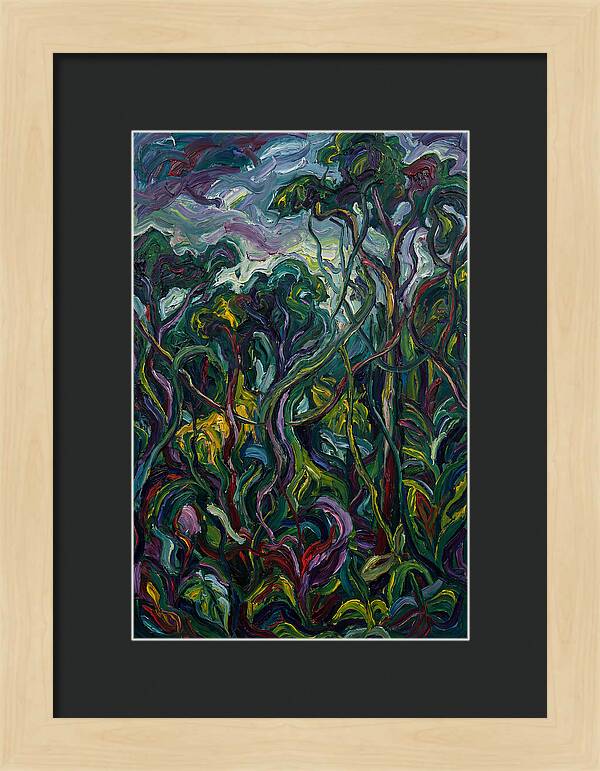 Rainforest Reverie