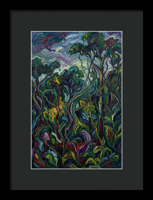 Rainforest Reverie