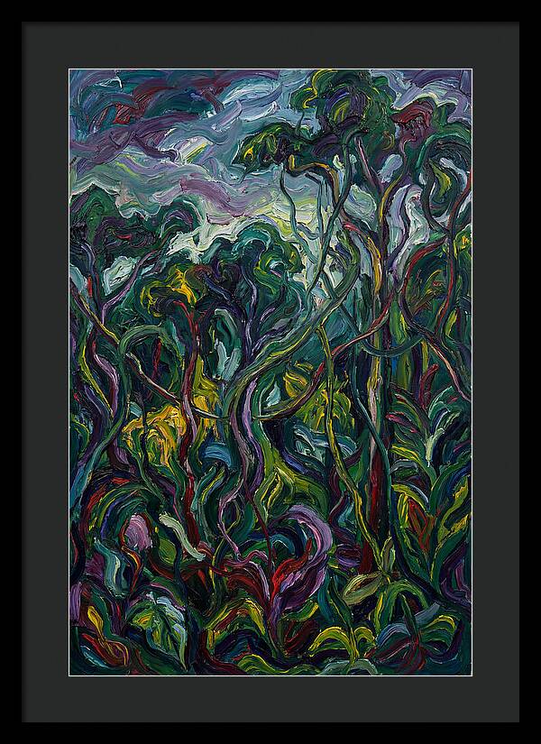 Rainforest Reverie