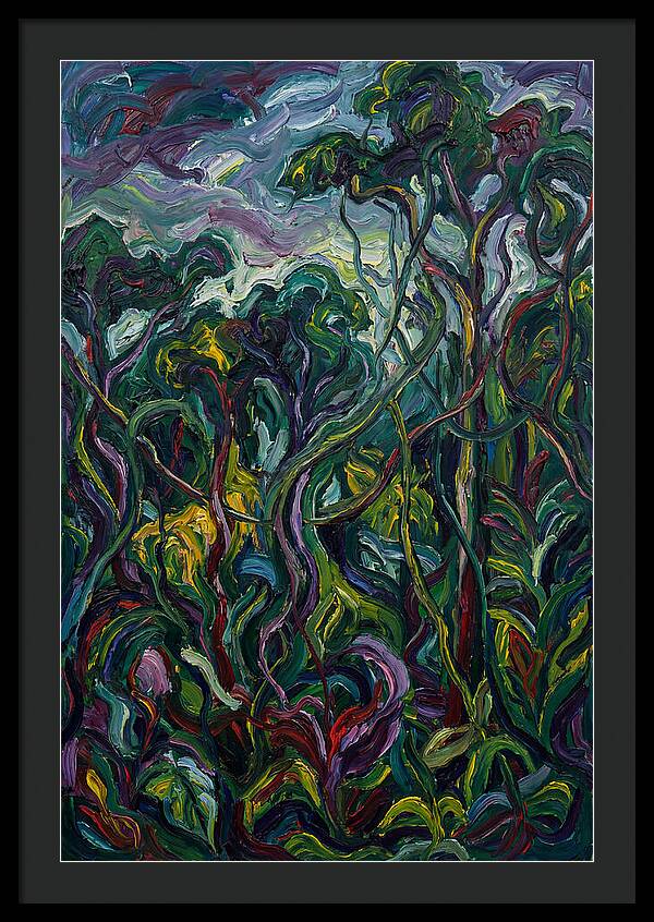 Rainforest Reverie
