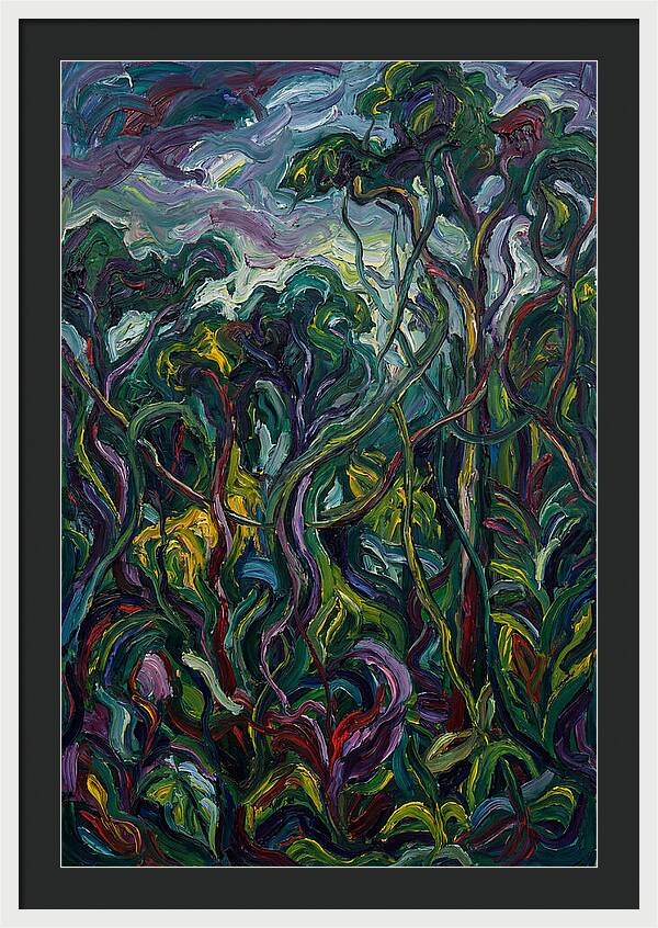 Rainforest Reverie