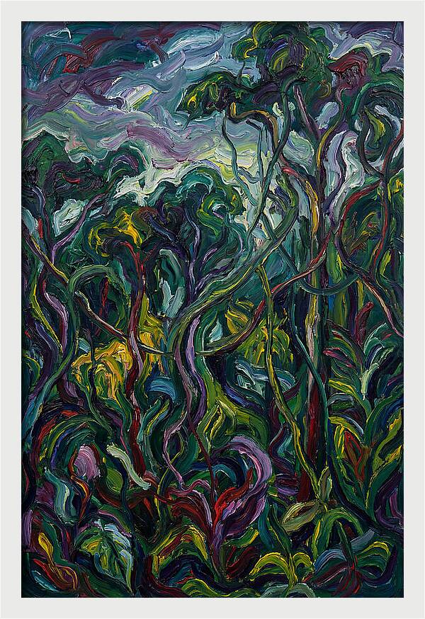 Rainforest Reverie