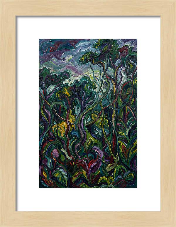 Rainforest Reverie