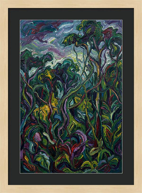 Rainforest Reverie