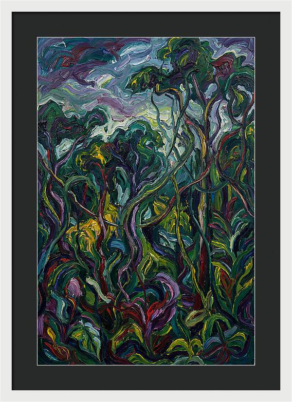 Rainforest Reverie