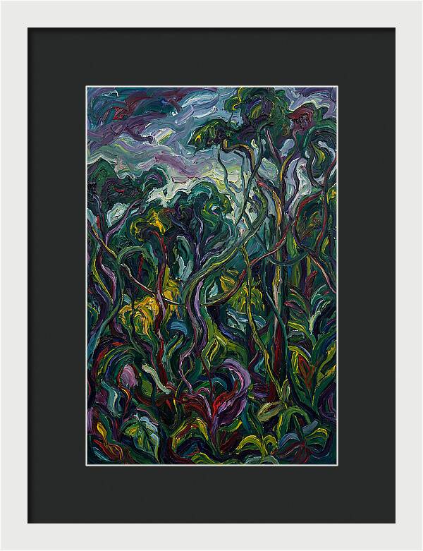 Rainforest Reverie