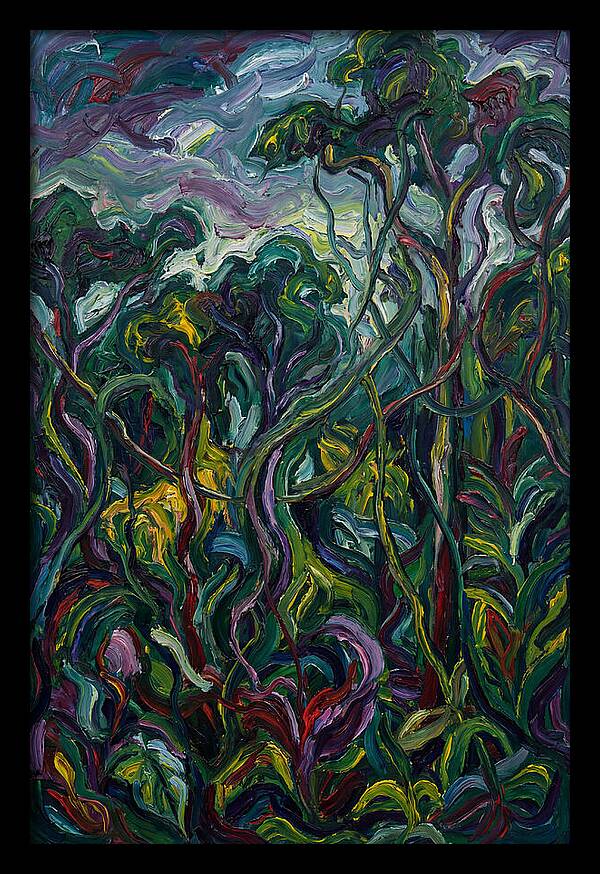 Rainforest Reverie