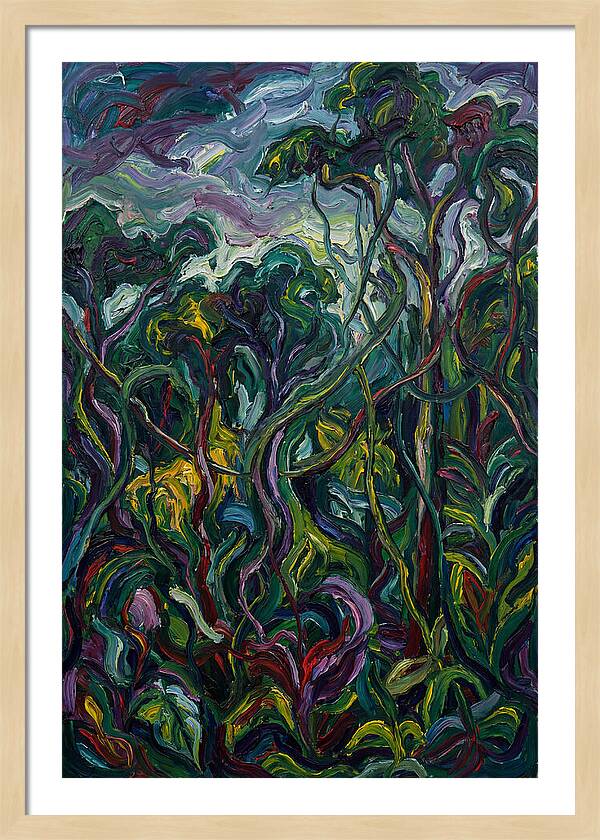 Rainforest Reverie