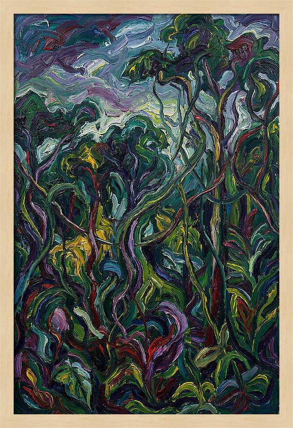 Rainforest Reverie